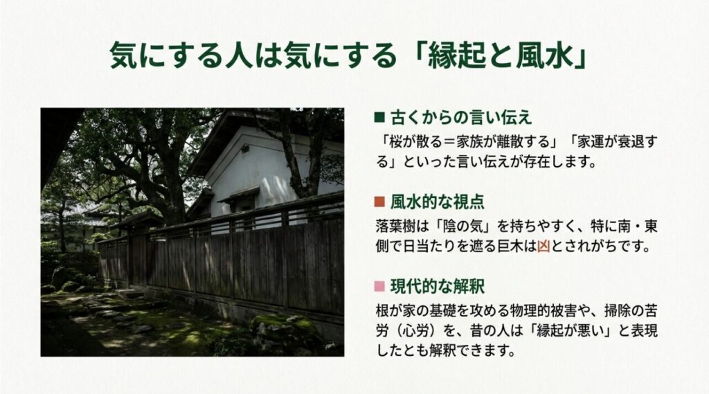 庭に桜を植えると縁起が悪い説